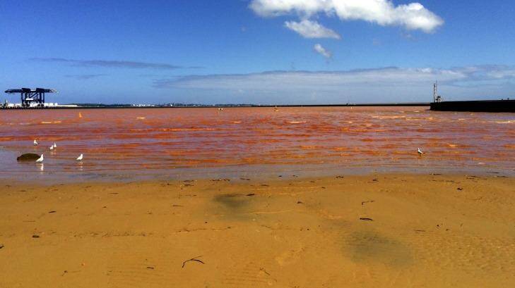 Very Poor: Foreshores Beach at Port Botany, where the water turned bright orange last year. Photo: NSW Environment Protection Authority