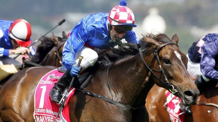 All-knowing expression: Makybe Diva. Photo: Sebastian Costanzo