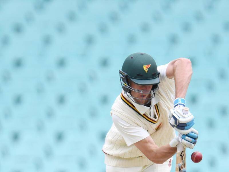 Tasmania's Beau Webster scored 102 not out against NSW on day three at the SCG.