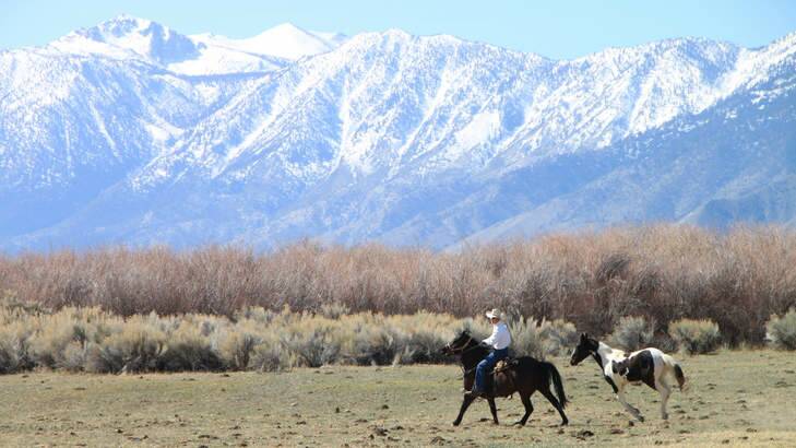 Ride 'em cowboy: Wrangler Rich at his property. Photo: ben groundwater