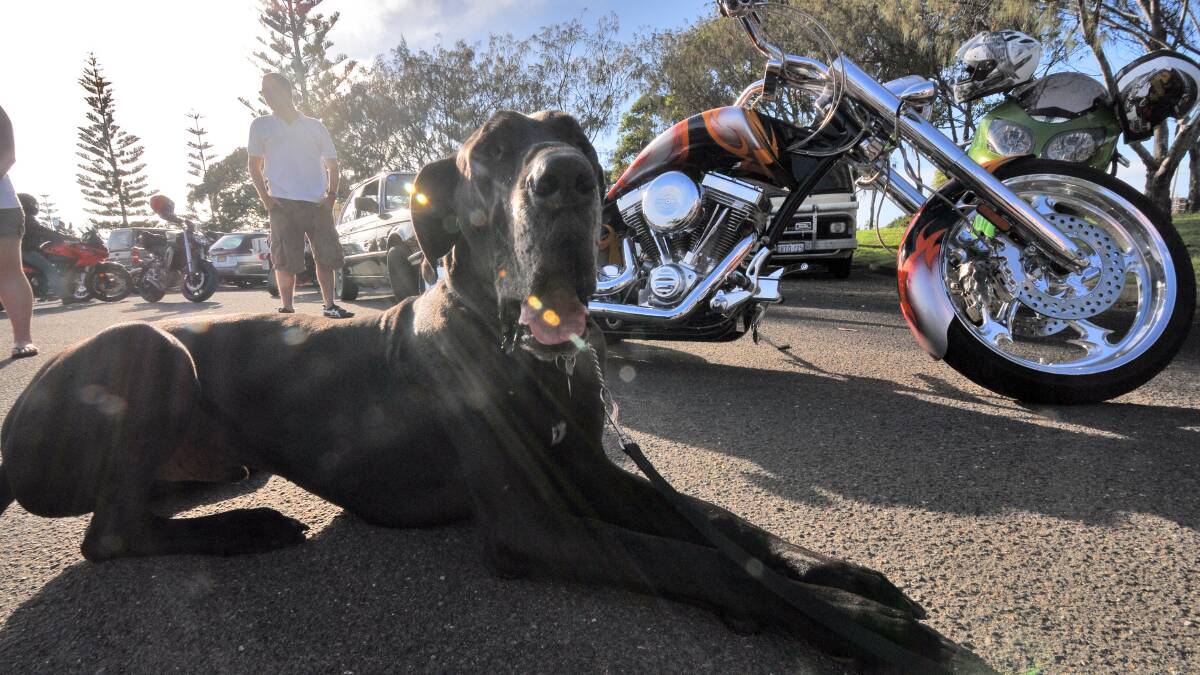 Murphy Owen checks out the bikes at the Black Dog ride on Sunday.