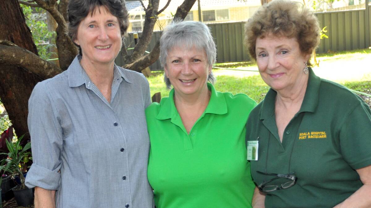 Dell King, Carolyn Stuart and Jackie Moody catching up at the Koala Hospital fun day.
