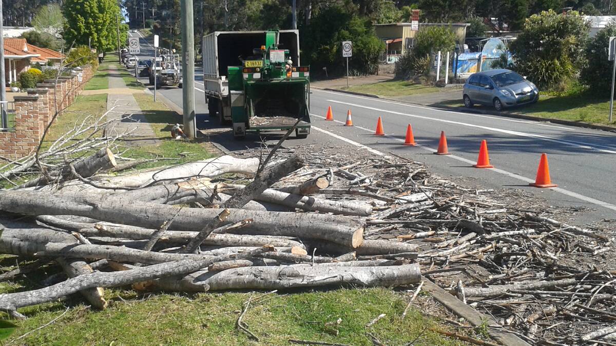 The cleanup continues on Fernhill Rd after winds knocked down a tree on Wednesday afternoon. Pic: MATT MCLENNAN
