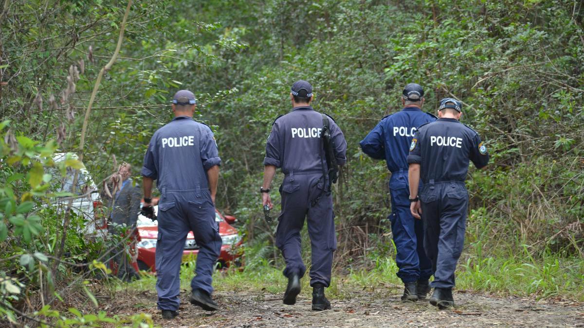 William Tyrrell: 'Items' recovered from bushland search | Photos, video
