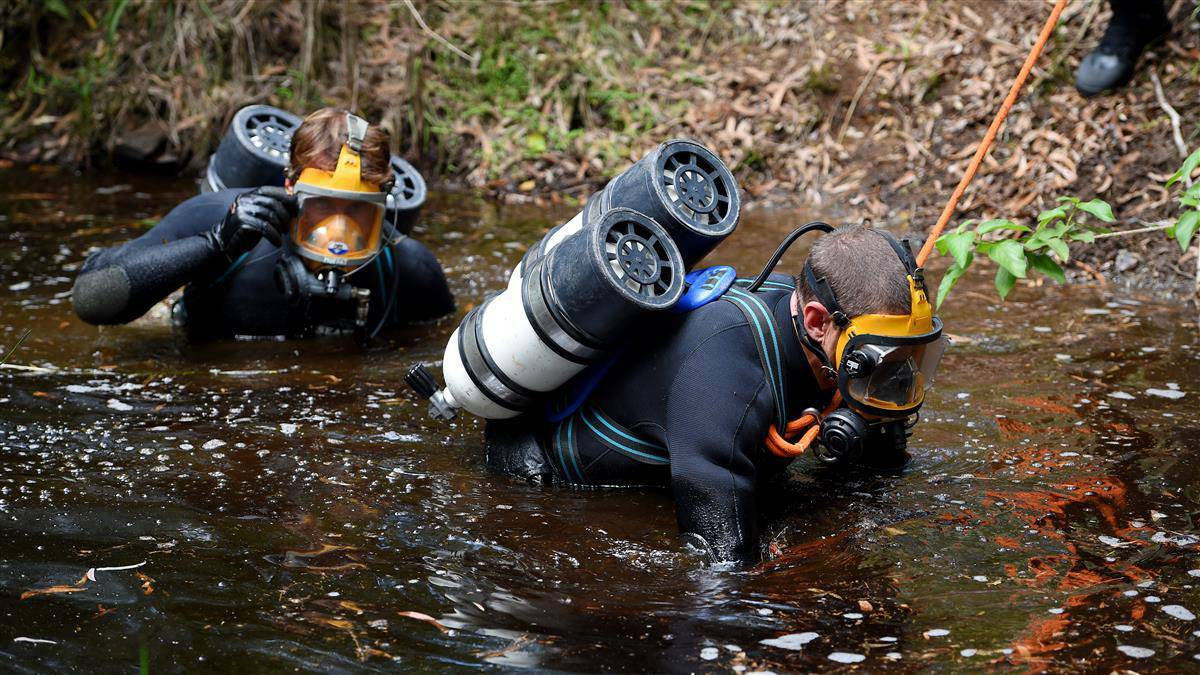 Police divers scour the murky swamp in Bonny Hills bushland on Wednesday. Pic: AAP