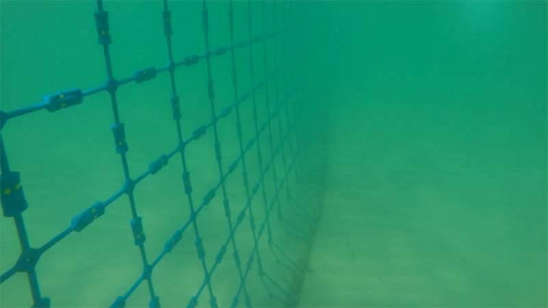 Eco Shark Barrier Nets are strong and recyclable.