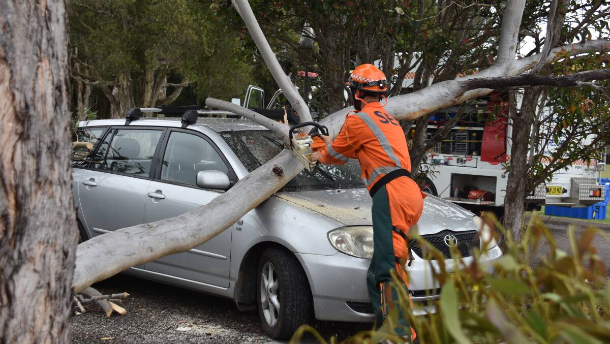 Kept busy: Will Steggal of the Port Macquarie SES team helps cut away the tree which fell onto a car on Mumford Street. Pic: NIGEL McNEIL