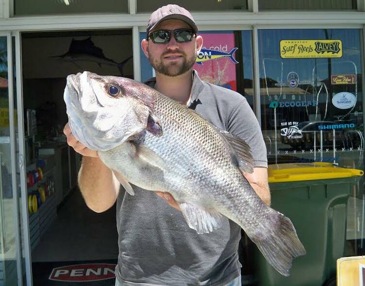 Big catch: Rohan Dawson recently scored this cracking 5.65kg pearl perch offshore off Lighthouse Beach using a live slimey mackerel for bait.