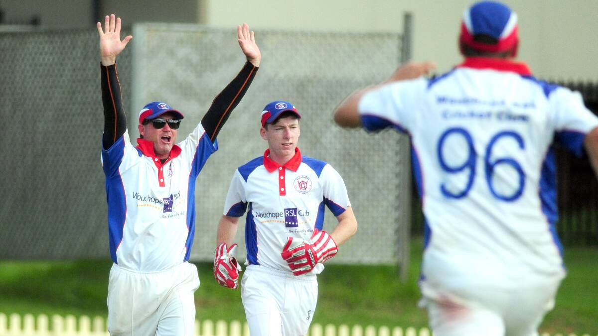 Mick Gough and Darren Bourke celebrate a wicket for Wauchope RSL in the grand final win on Sunday.