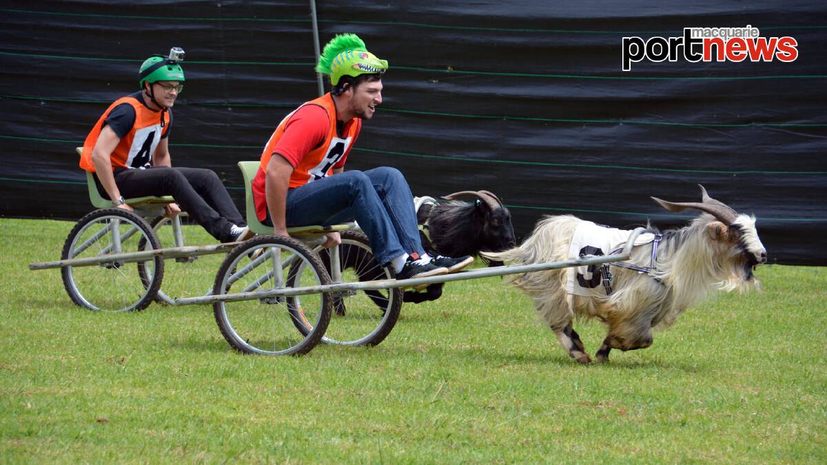 TODAY marked the annual Comboyne Show with tides of people flocking from all over to take a look at the stalls and events, including the ever popular goat races.