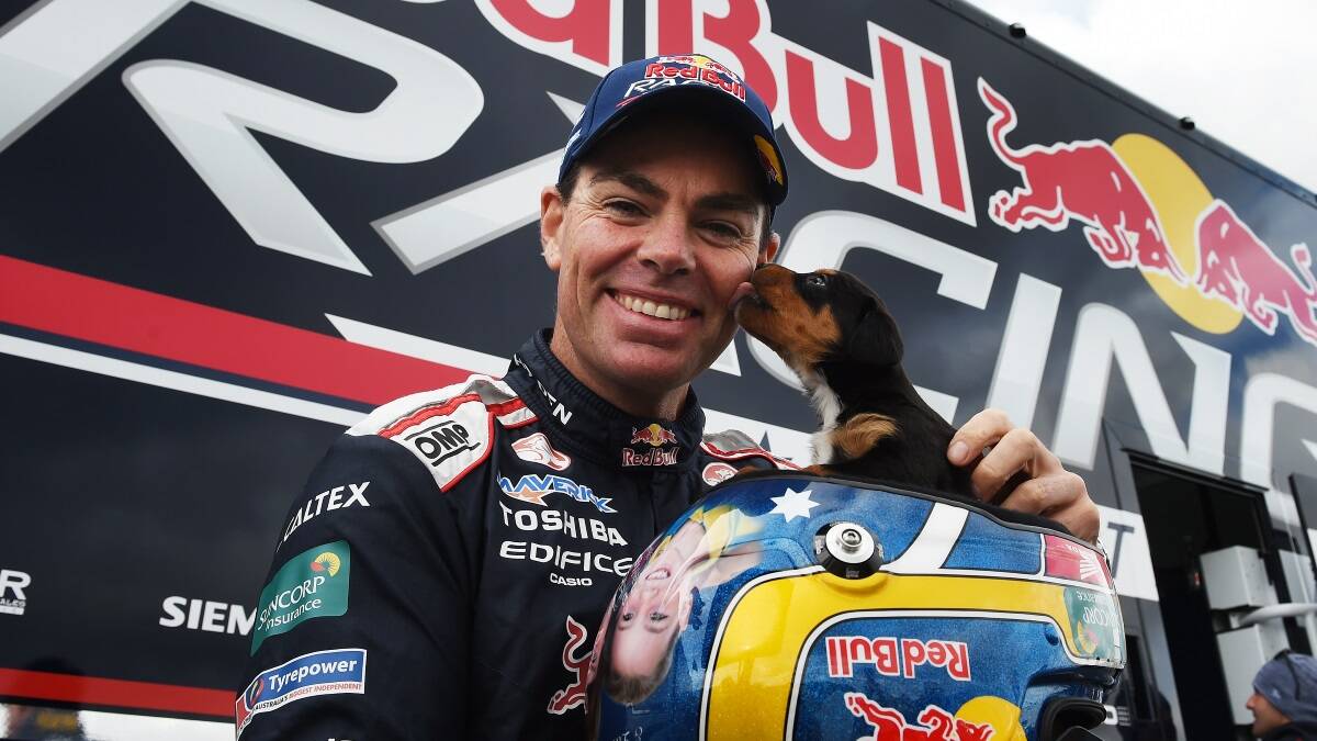 Craig Lowndes, the RSPCA and a puppy | Video