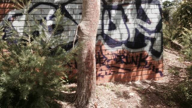 Legal graffiti spaces 'in pipeline' | poll