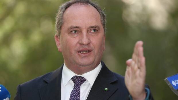 Deputy prime minister and leader of the National Party Barnaby Joyce