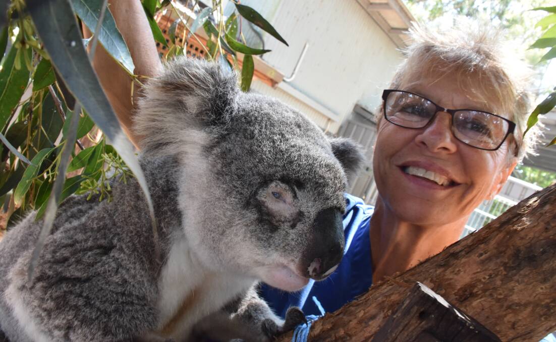Cheyne Flanagan of Port Macquarie's Koala Hospital.
