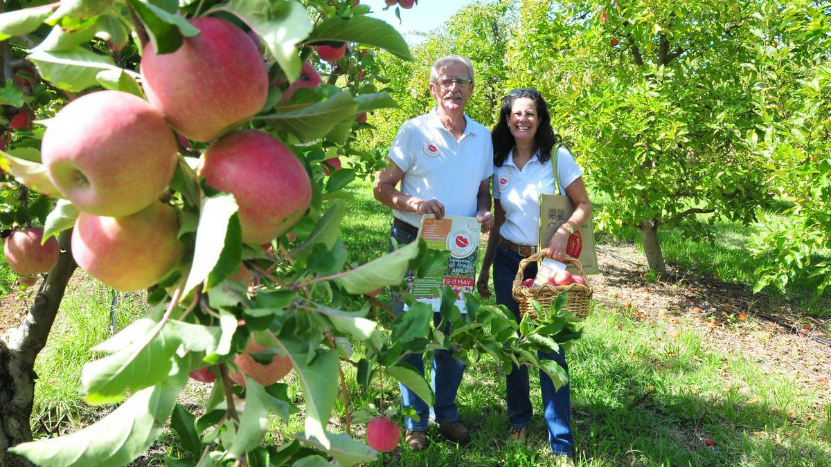 ORANGE: Orchardist Max Davidson and Orange Apple Festival co-ordinator Cath Thompson are keen to spread the word about all things apples during this year’s Orange Apple Festival to be held from May 9 to 11. Photo: Jude Keogh/Central Western Daily