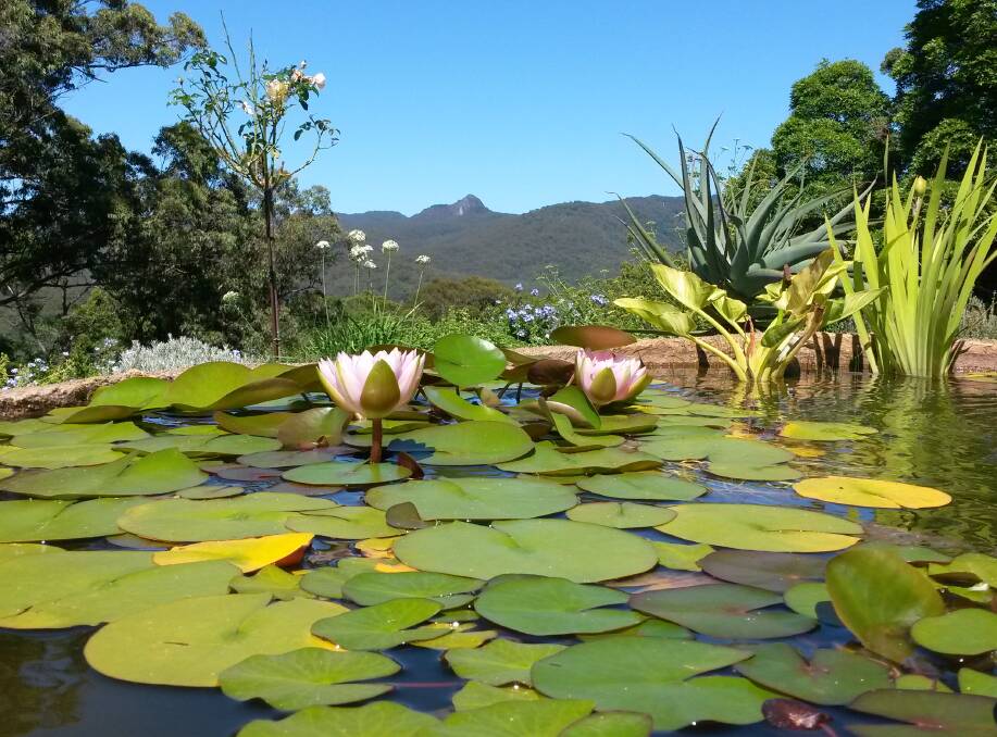 HOW'S THE SERENITY: One of the gardens open to the pubic in Hannam Vale next month.