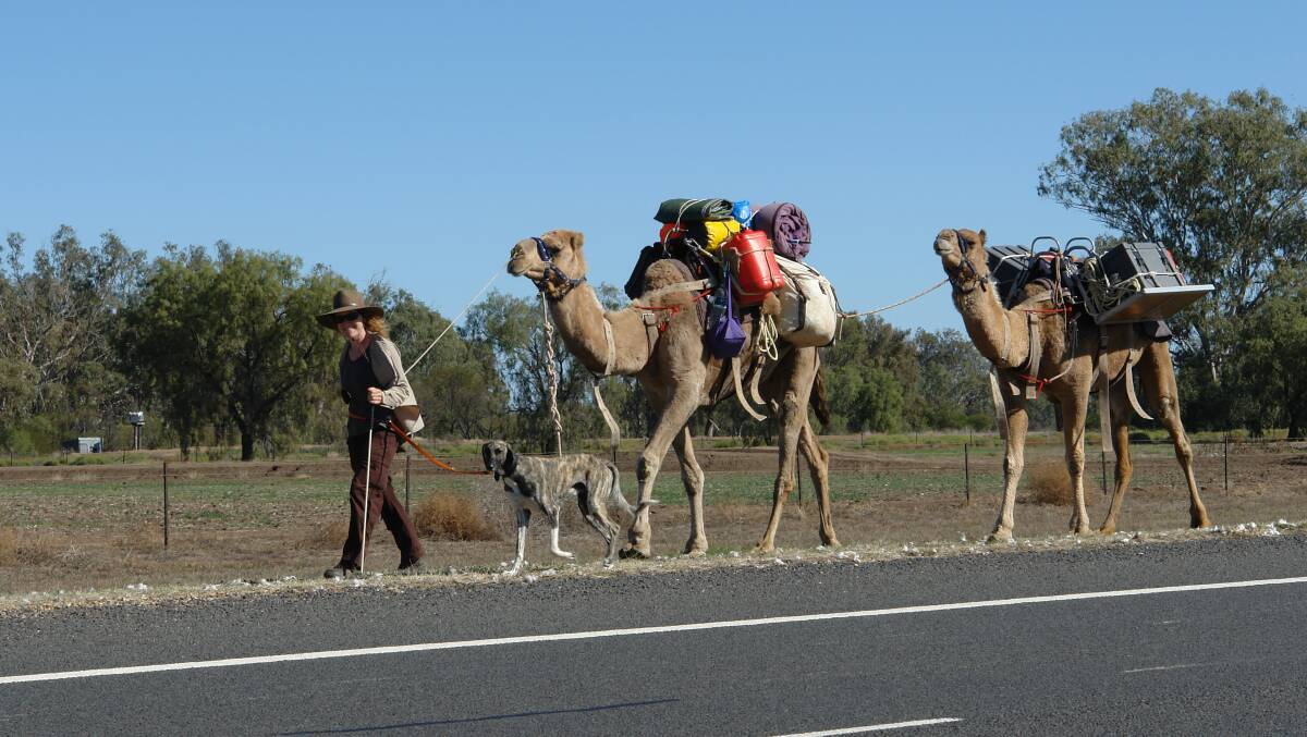 ADVENTURE: Katie Van Dyck with Matong and camels wlaking by the Kamilaroi Highway.