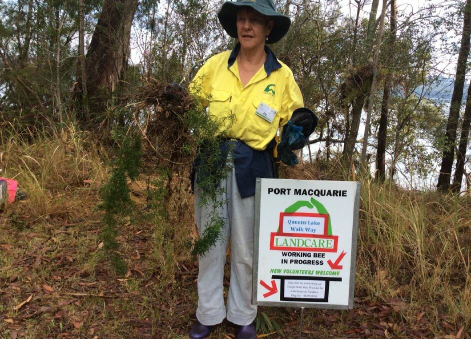 WEEDING OUR WALKWAY: Queens Lake Landcare member Joy Rodwell with the Asparagus Fern cleared.