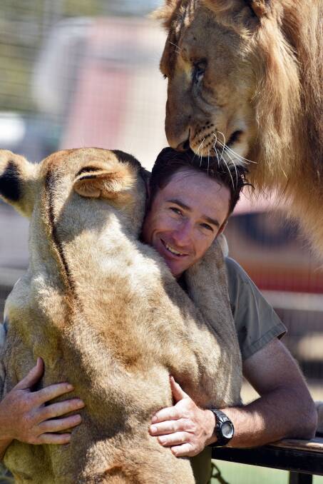 Loyal and loving: Trainer Matt Ezekial with two of his lions. Photo: Matt Attard