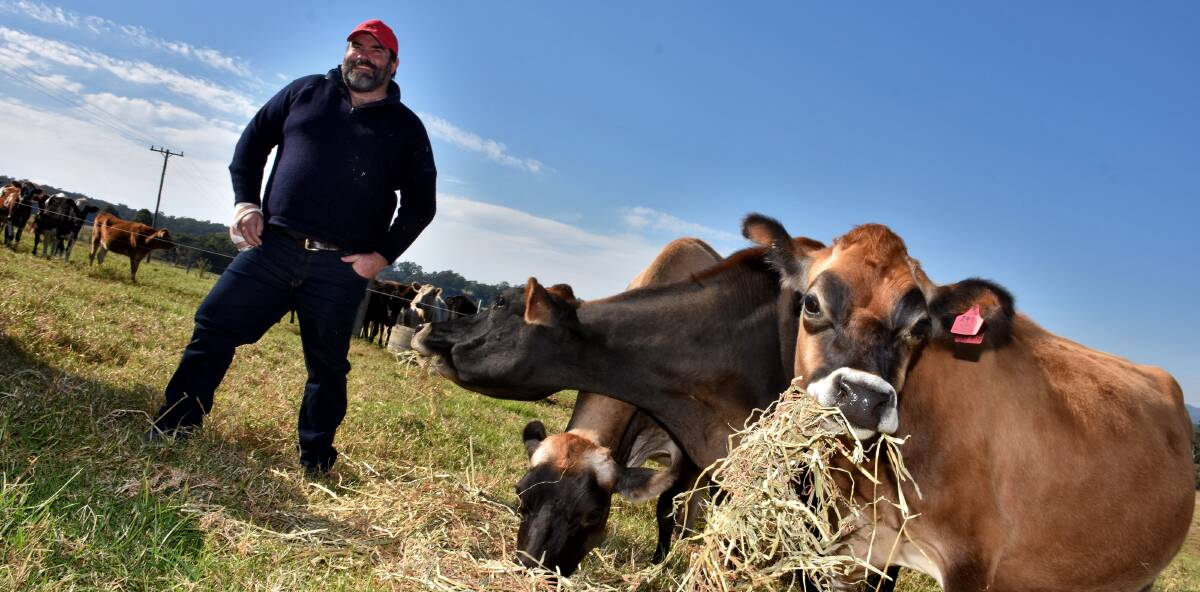 Strong views: Dairy industry stalwart Peter Daley fears for dairy farmers once new pay cuts are announced. Photo: Matt Attard