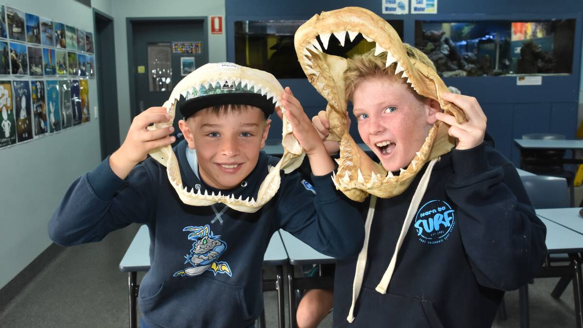 Open wide: Felix Hurdle and Ollie Hudson get up close and personal with the remains of two sharks at the Marine Discovery Centre. Photo: Ivan Sajko
