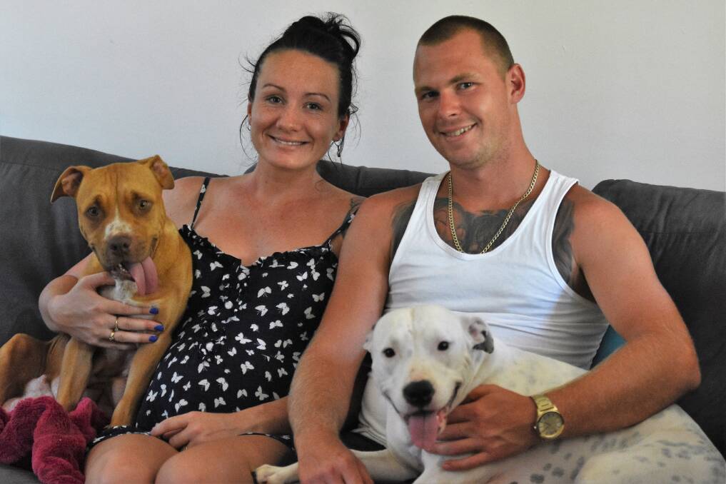 Much loved: Jaimee-Lee Wilesmith and Thomas Sheather with their pups, Misty and Armani.