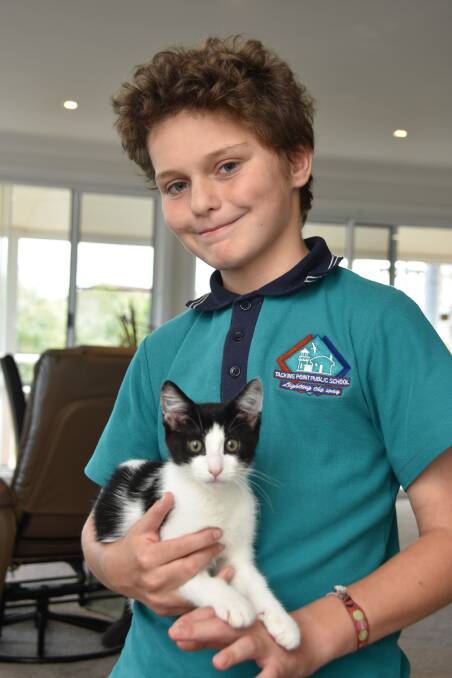 Best mates: AJ the kitten and his new owner, Seppe Beeckmans. Photo: Matt Attard