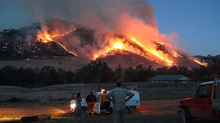 Baptism of bushfire ... the flames rise above Jugiong, north of Canberra,  on Tuesday. Farmers with surviving stock were seeking donations of feed as their paddocks were razed.