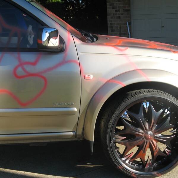 What’s the point: David Hore says “animals” were behind this graffiti attack on his son's ute.