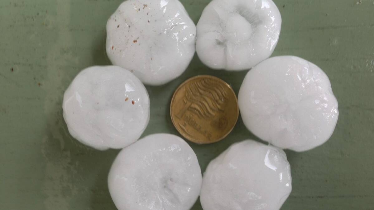 Just some of the hail that hit the Port News in Milton Circuit at 1.15pm Tuesday.