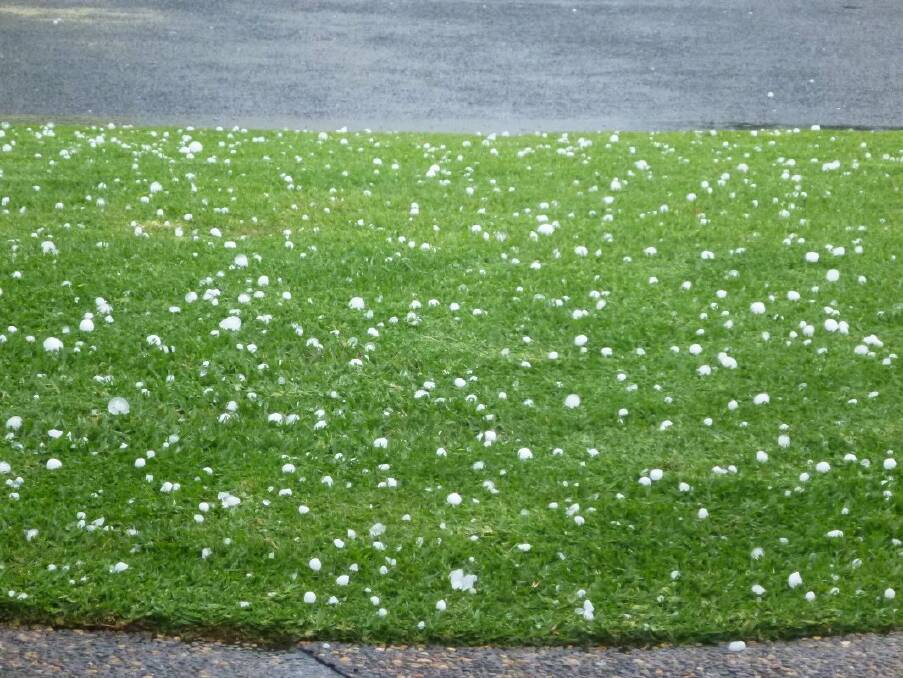An ice-topped lawn.