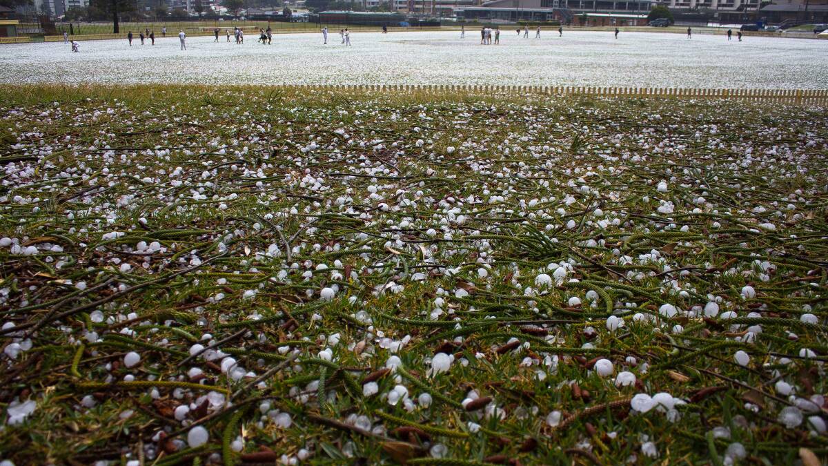 A white carpet on Port Macquarie's Oxley Oval. From Ivan Sajko.