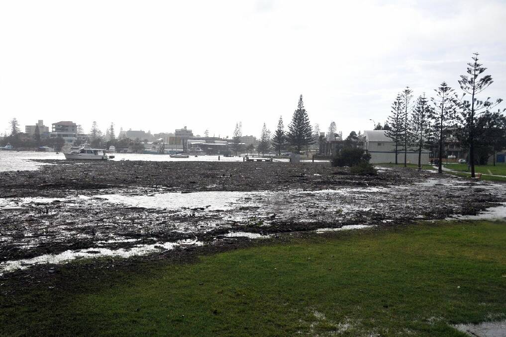 Port Macquarie's Westport Park. Pic: Peter Gleeson