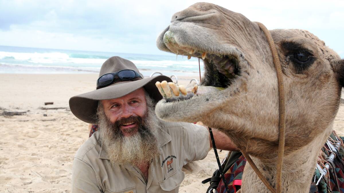 Camel humour: John Hardy with one of his camels. Pic: PETER GLEESON