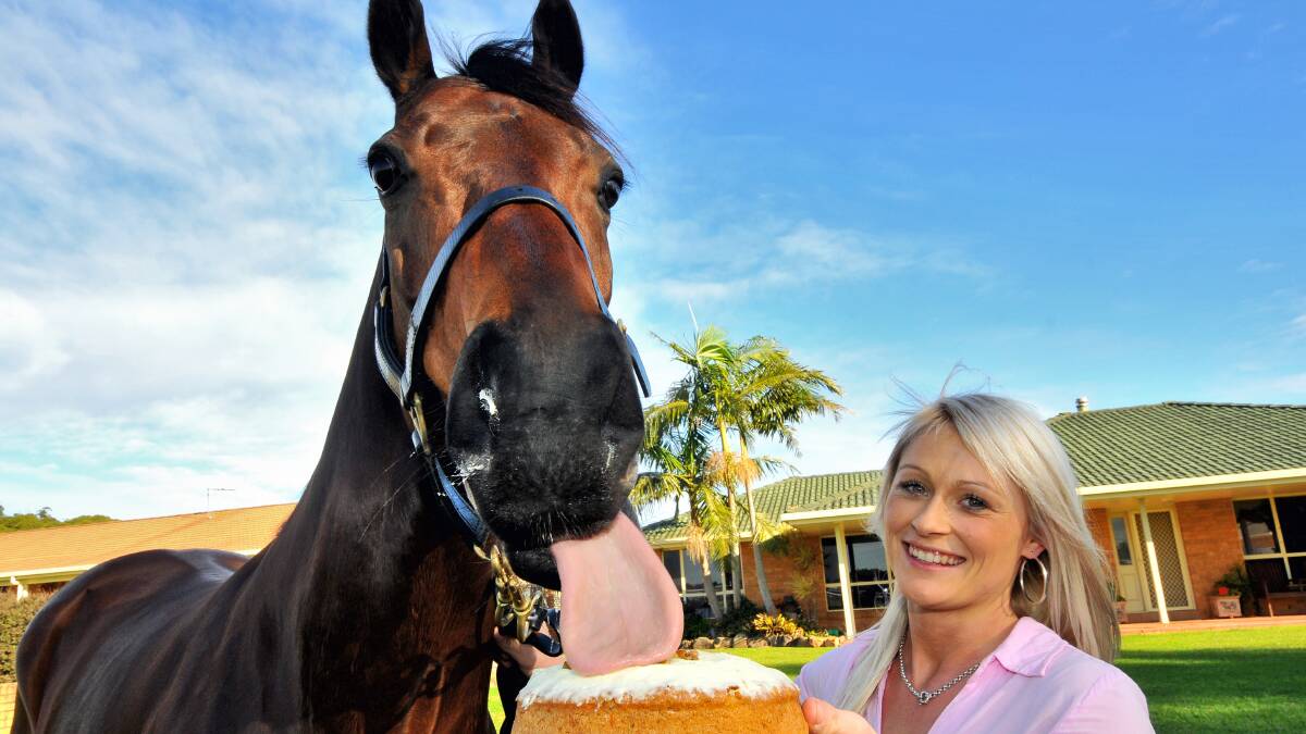 Special day: Rocky digs into his special carrot cake to mark the horses’ birthday as Melinda Graham watches on. Pic: PETER GLEESON