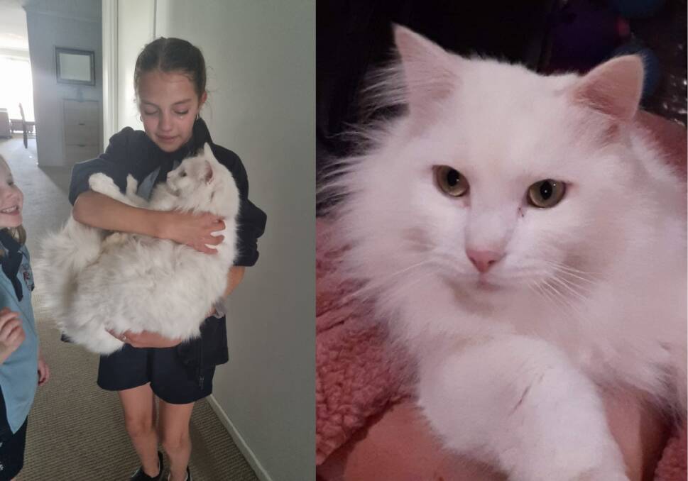 WELCOME HOME: Laci Hodge, 11, "howled" when her mother Mandy Lawson surprised her with the news that Mr Lulu had been found after he was missing for a year. Images: supplied.