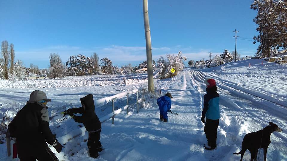 Check out all the pictures from NSW snow day