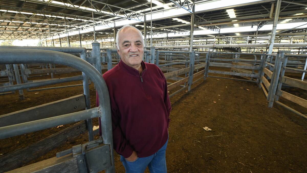 LIVESTOCK EXCHANGE: Wangaratta's John Muraca says prime cattle numbers are lower than normal. Pictures: MARK JESSER.