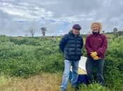 WEED KILLERS: Tasweed Biocontrol's Dr John Ireson and Joy Pfleger, outreach engagement officer with Landcare Tasmania. Picture: Joshua Peach