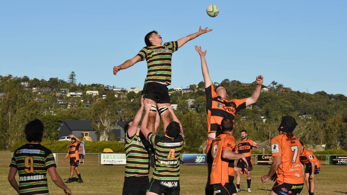 Kempsey Cannonballs defeat Hastings Valley Vikings on Saturday, July 8. Pictures by Penny Tamblyn 