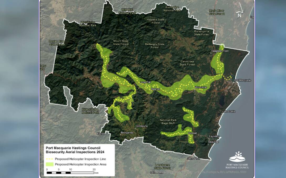 A map of the Tropical Soda Apple aerial survey area, and below - Tropical Soda Apple plants. Picture supplied by Port Macquarie-Hastings Council 