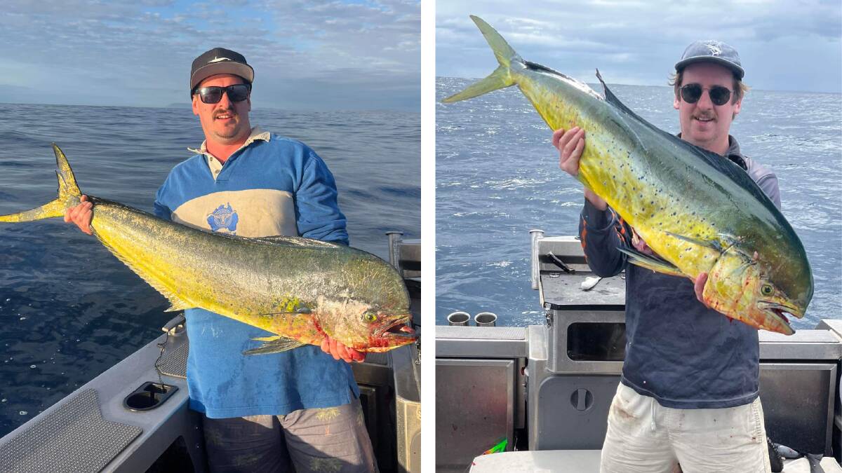 This week's photos are of Sean Ferguson from boat 'Salt Dog'. He had a great couple of fishing sessions last week; catching decent Mahi Mahi off Port Macquarie.