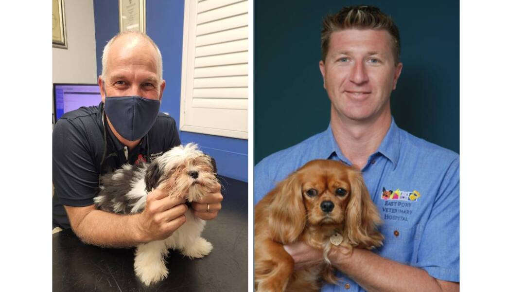 Port Macquarie veterinarians Dr Tim Reed and Dr Gary Turnbull
