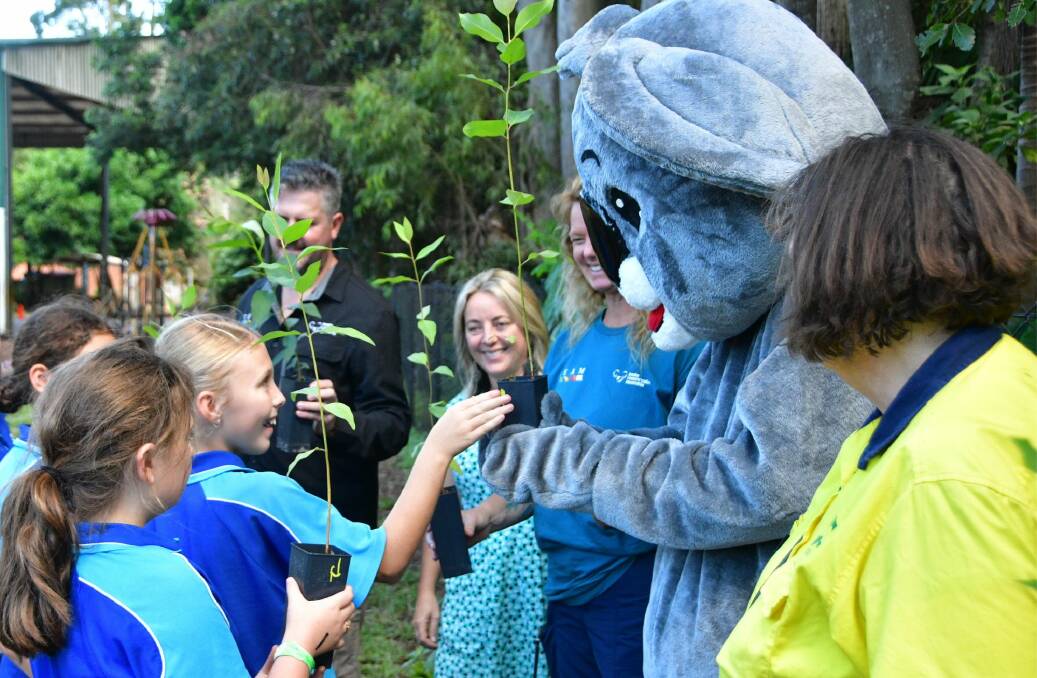 Port Macquarie primary school students plant trees to feed local wildlife. 