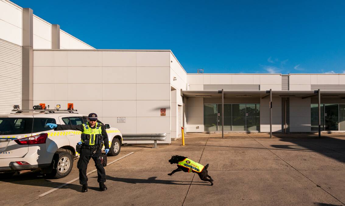 Dog handler Senior Constable Jareth Anderson getting Fang ready to work at Launceston Airport. Picture: Phillip Biggs