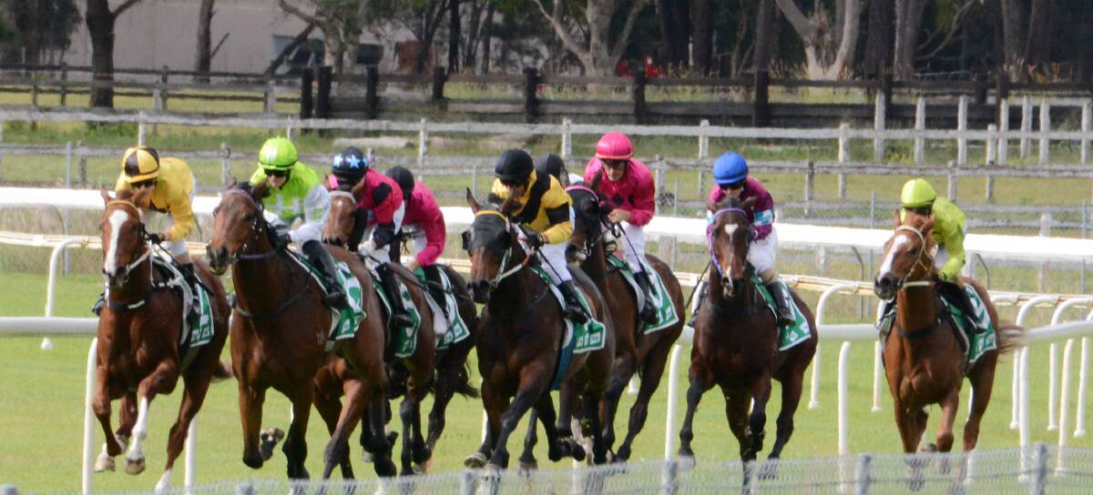 The field thunders home in the Stacks Law Firm Maiden Handicap, the second race on the card at Taree this week. Excelsa, ridden by Amelia Denby for Newcastle trainer David Atkins was the winner. Photo Scott Calvin.