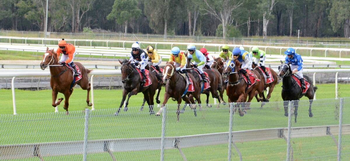 Manning Valley Race Club conducted a seven event program this week under the strict Racing NSW protocols. Photo Scott Calvin