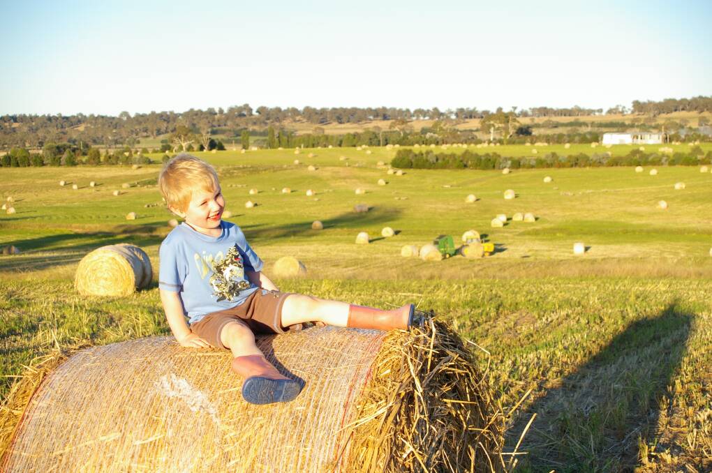 Clean air, out door fun and plenty of space to play make regional and rural areas an excellent place to raise a family. This little person was caught having great fun playing on bales of freshly-made millet hay.