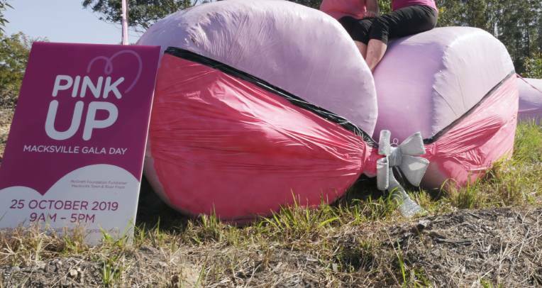 SHOW-STOPPER: This stunning large prop on the side of the Pacific Highway between Macksville and Nambucca Heads was designed to raise breast cancer awareness