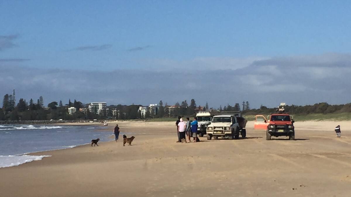Waiting game: Some of the professional fishermen on North Shore main beach on Saturday.